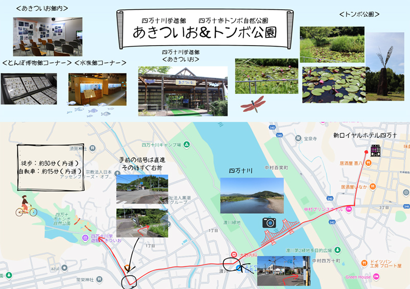 あきついお＆トンボ公園